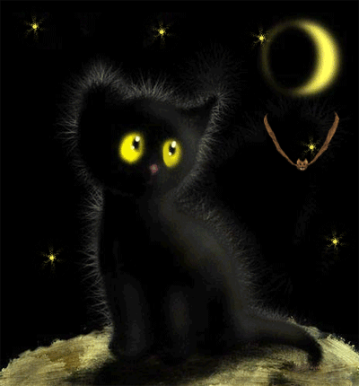 happy halloween black cat pictures photos and images for
