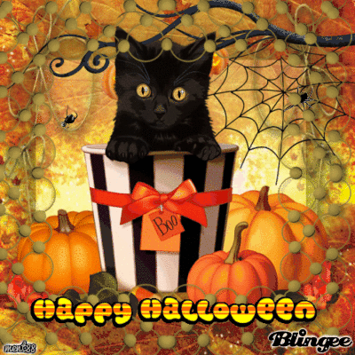 happy halloween black cat pictures photos and images for