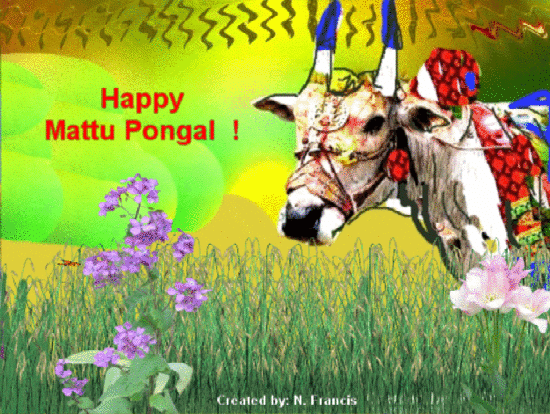 happy mattu pongal free pongal ecards greeting cards