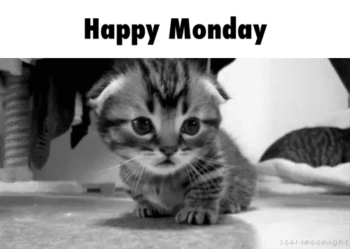 happy monday gifs monday morning gifs best monday gif