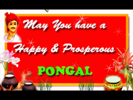 happy pongalo pongal to you free pongal ecards greeting
