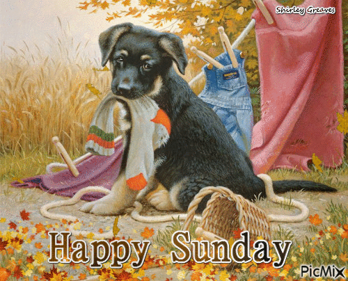happy sunday animated gif pictures photos and images for
