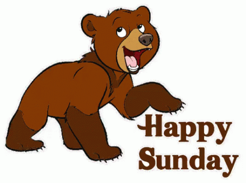 happy sunday gif sunday happysunday cutebear discover