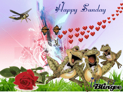 happy sunday gifs days of the week pinterest