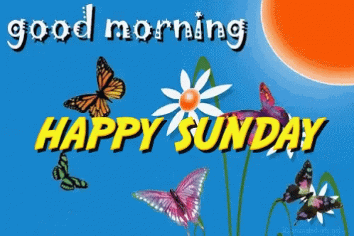 happy sunday gifs tenor