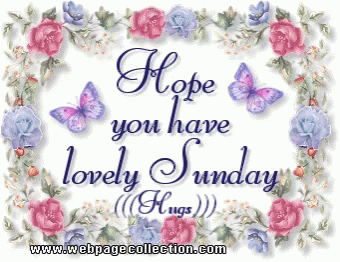 happy sunday gifs tenor