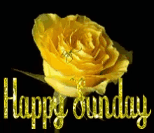 happy sunday gifs tenor