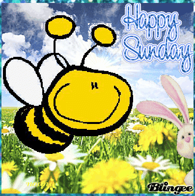 happy sunday picture blingee com