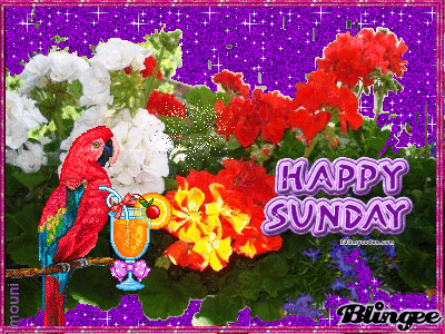 happy sunday picture blingee com