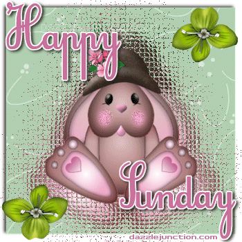 happy sunday pictures photos and images for facebook