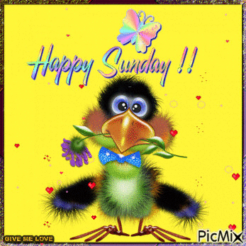 happy sunday pictures photos and images for facebook