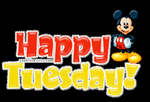 happy tuesday gifs get the best gif on giphy