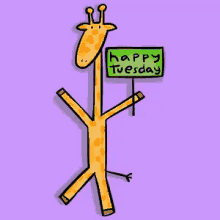happy tuesday gifs tenor