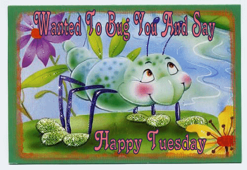 happy tuesday