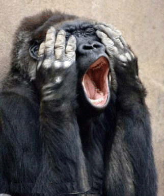 having a laugh pics and gifs page funky pool