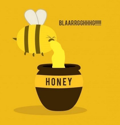 honey bees gif find on gifer