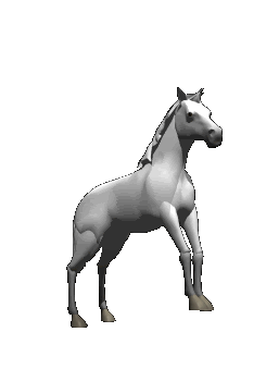 horse animated gif clipart best