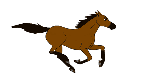horse mybestfengshui com