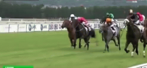 horse racing gif horse racing cheval discover share gifs
