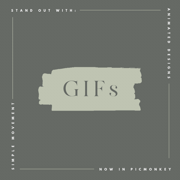 how to use animated gifs picmonkey help