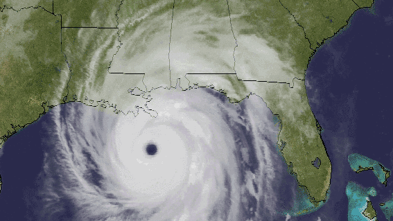 hurricane gif gif images download