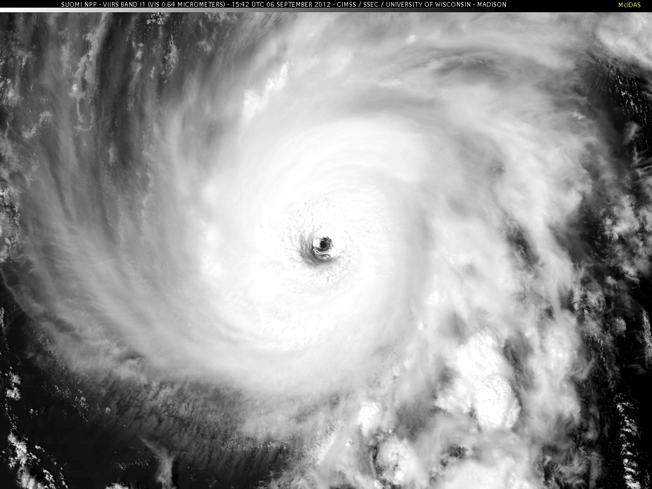 hurricane gif gif images download