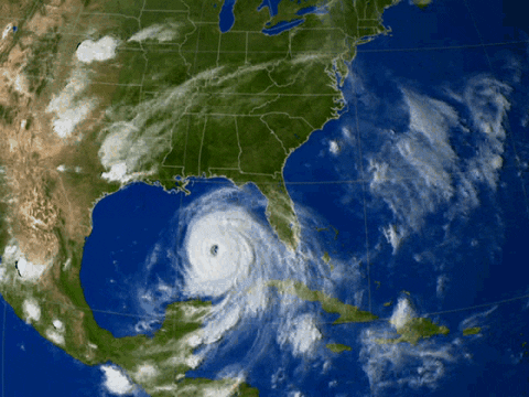 hurricane gif find share on giphy