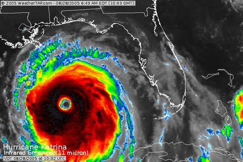 hurricane gif find share on giphy