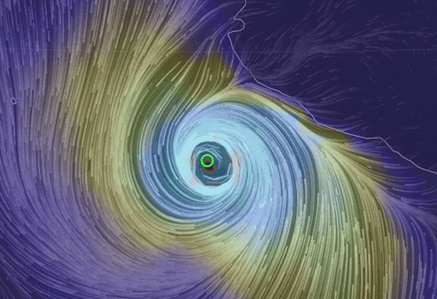 hurricane gif find share on giphy