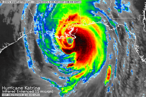 hurricane gif find share on giphy