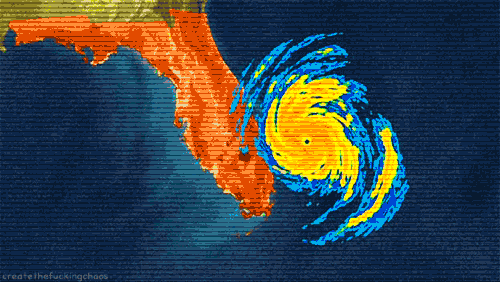 hurricane gifs find share on giphy
