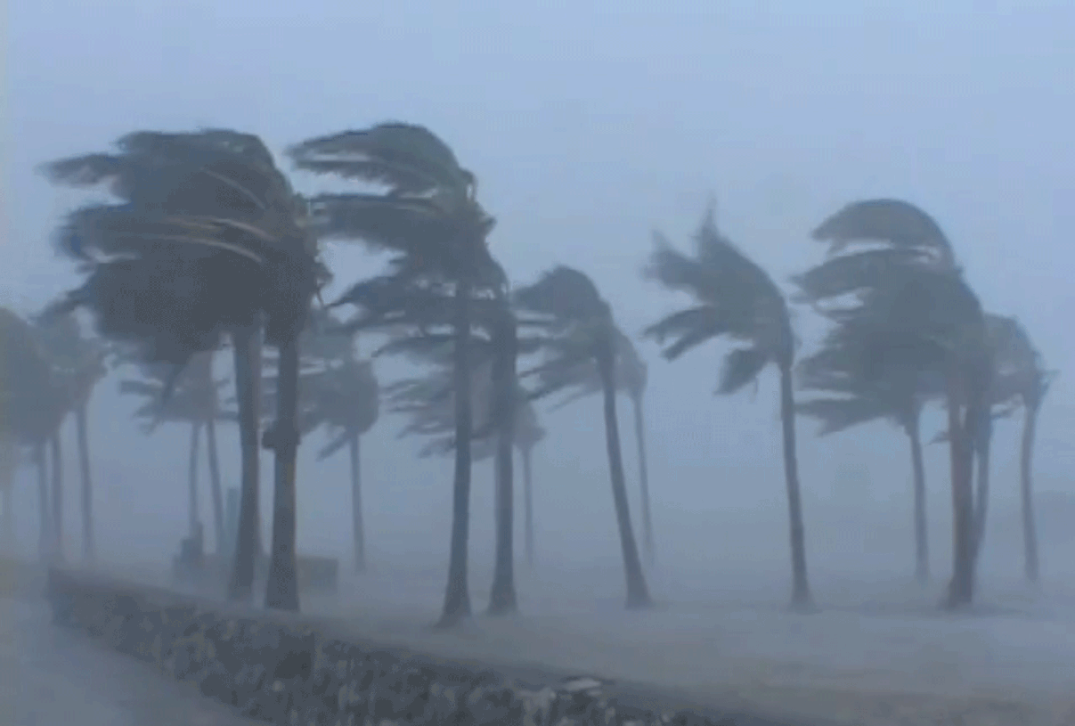 hurricane gifs get the best gif on giphy