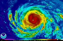 hurricane gifs tenor
