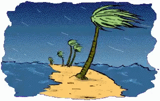 hurricane irma gif hurricane irma funny discover
