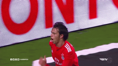 joao felix slide gif joaofelix slide celebration