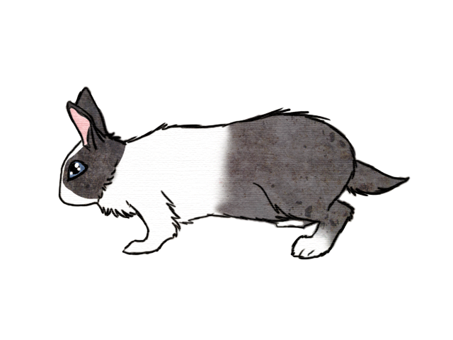 k bunny run run by snow body on deviantart