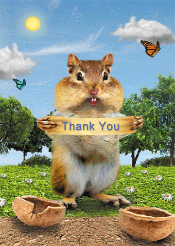 lenticular thank you card custom chipmunk design