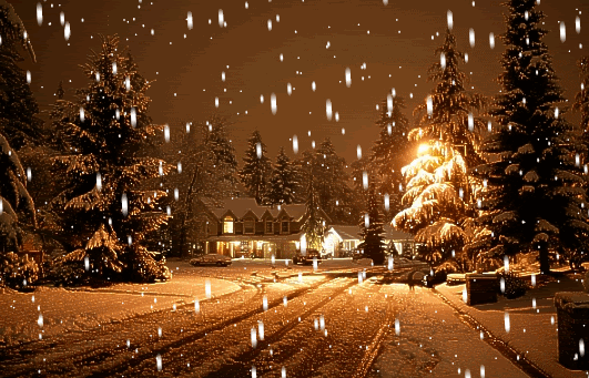 let it snow jenny s noodle