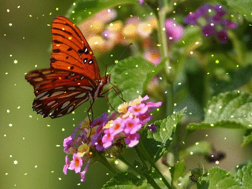 lunapic free online photo editor snowfall