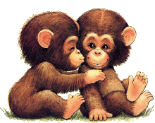 monkeys at animated gifs org