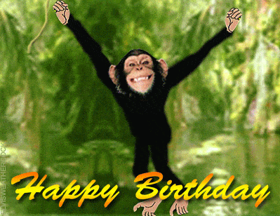 monkeys happy birthday animated gif speakgif