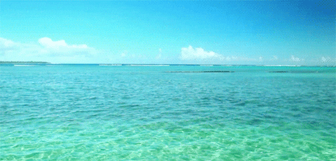 ocean animated gif