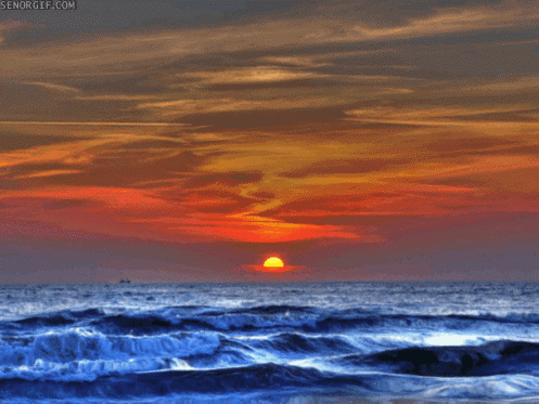 oceano gifs get the best gif on giphy