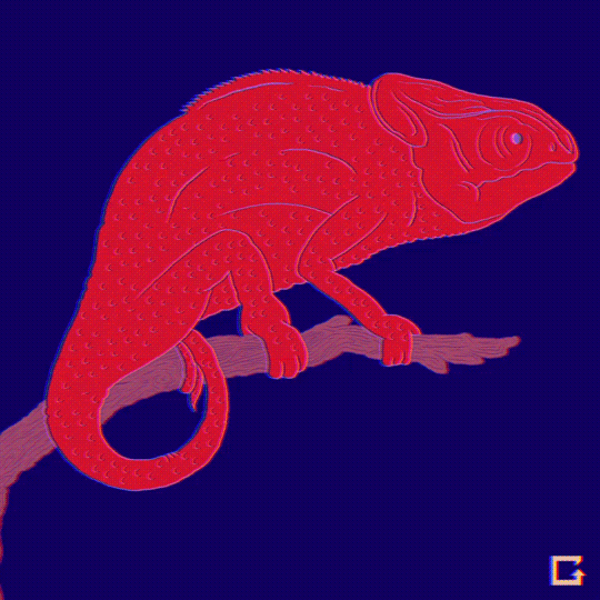panther chameleon gifs wifflegif