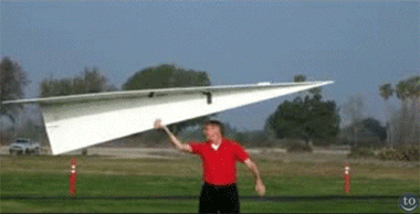 paper airplane gifs on giphy