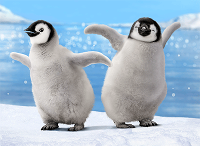 penguins dancing bump lenticular motion funny birthday