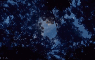 pixie dust gif tumblr