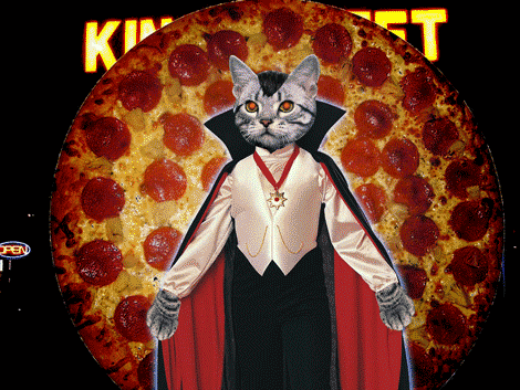 pizza cat gifs caterville