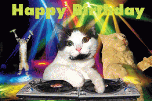 popular happy birthday gif happy birthday funny