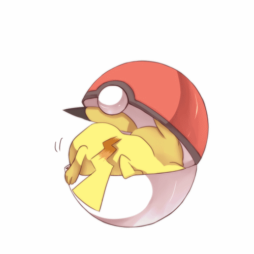 pyn for a pokemon gif